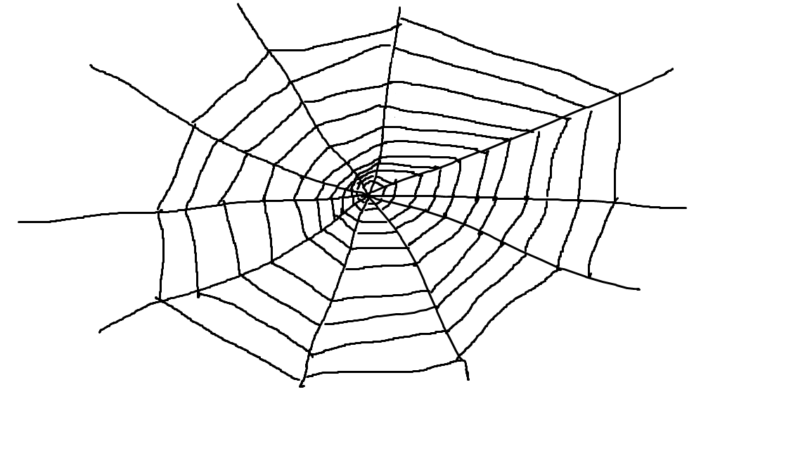Spider Web